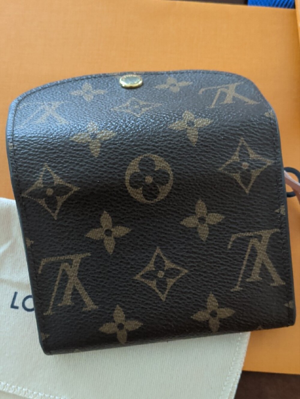 Louis Vuitton Rosalie Pink Ballerine - Picture 5 of 9